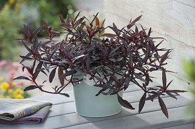 温馨餐厅管理游戏《Not Monday Cafe》Steam页面开放 发行日期待定